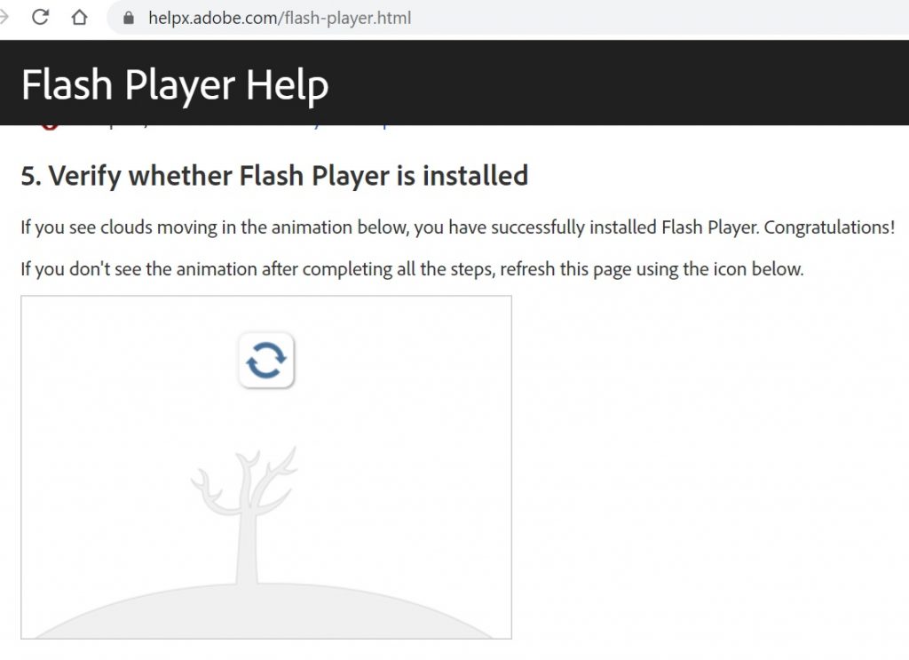 Verifying Flash in no longer installed. 