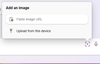 Bing Chat's Image analyzer feature